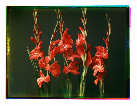 023threecolor 465 360 int